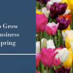 How to Grow Your Business This Spring